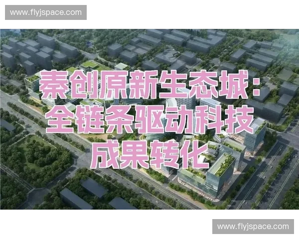 构建全链条反盗版治理体系护航数字内容产业健康发展与创新生态安全